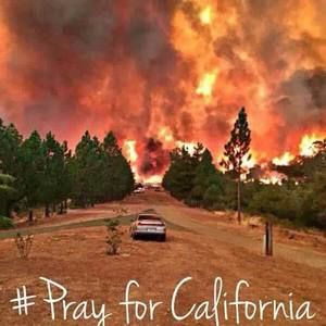 Meet your Posher, Lucy